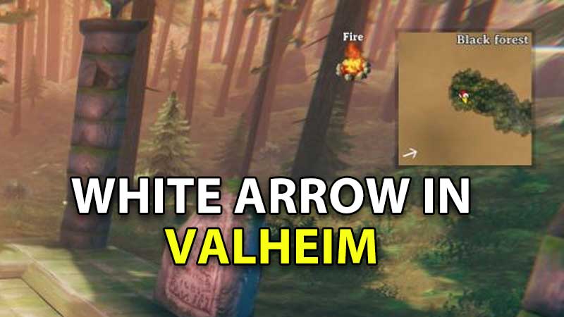 white-arrow-valheim