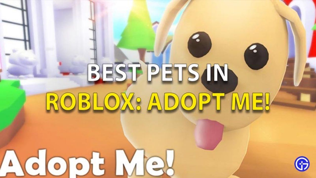 Best Pets In Roblox Adopt Me Unicorn Peacock More - roblox blox piece how to get bunny ears