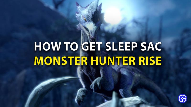 How To Get Sleep Sac In Monster Hunter Rise