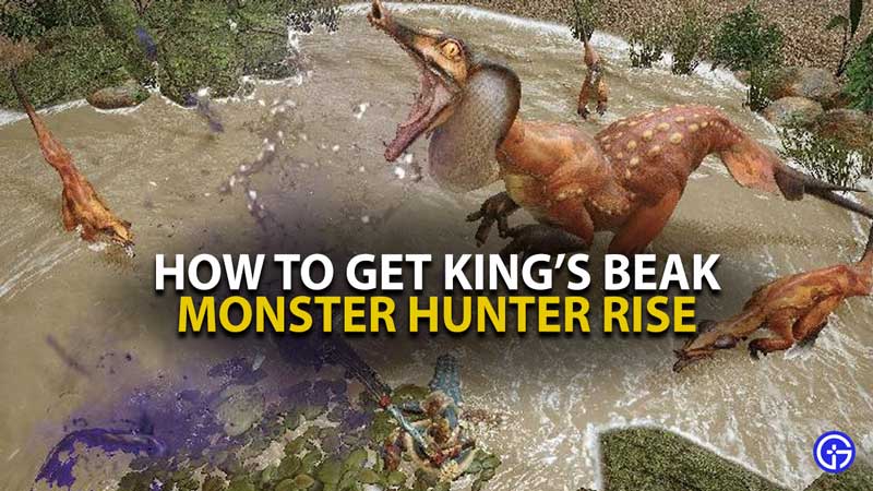MH Rise King's Beak Guide