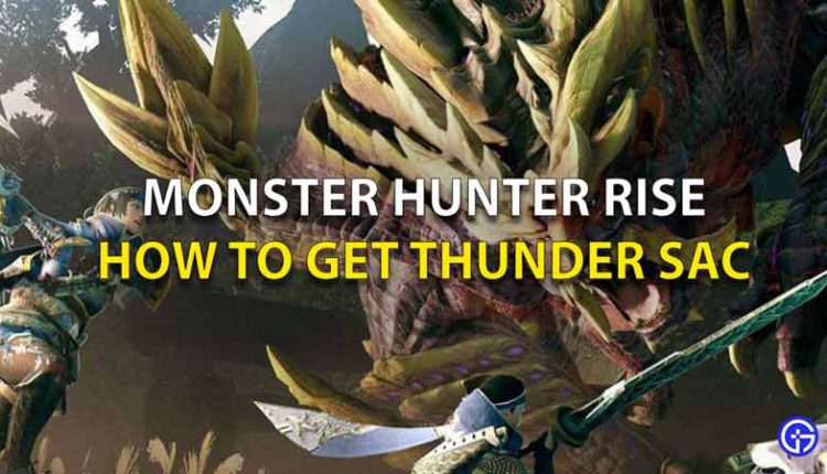 Monster Hunter Rise Wiki - Gamer Tweak