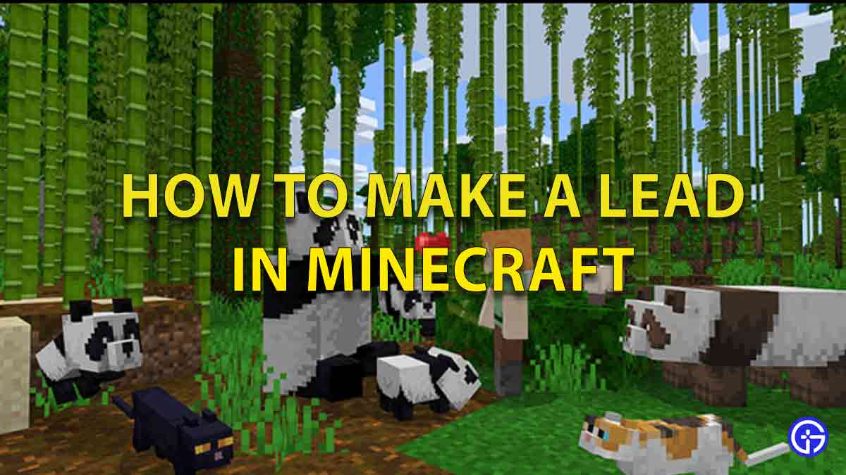 Minecraft Feature
