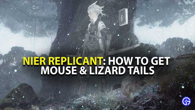 Nier Replicant Mouse Lizard Tail Guide