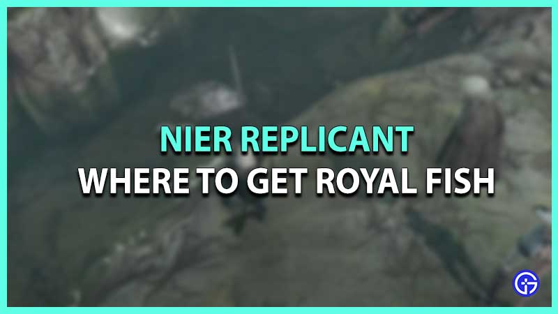 Nier Replicant Where To Find Royal Fish