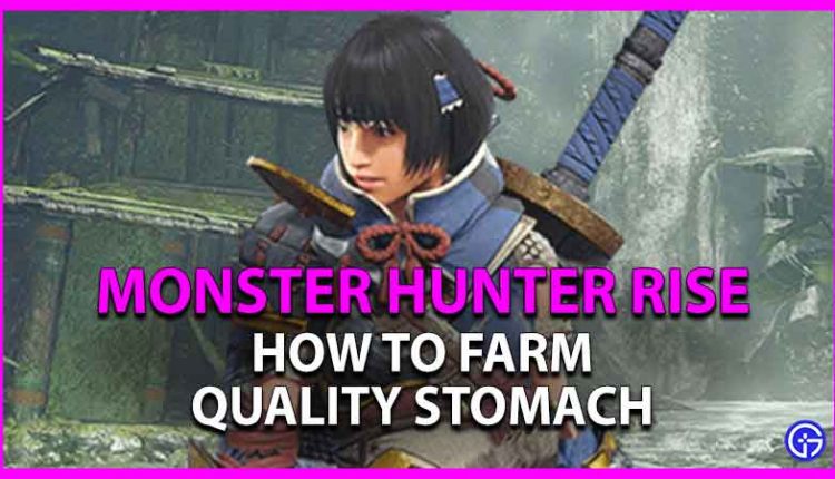 quality stomach monster hunter rise
