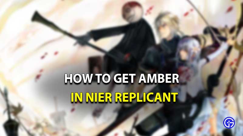 Nier Replicant Amber location
