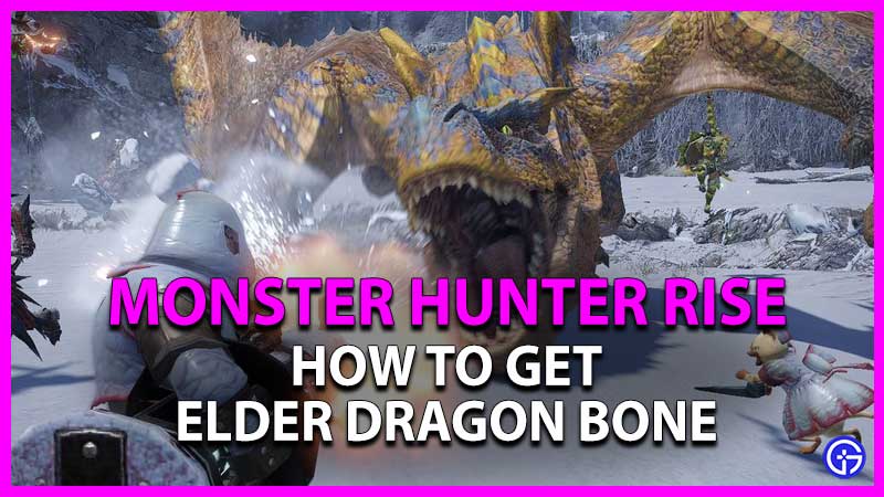 how to get elder dragon bone in monster hunter rise