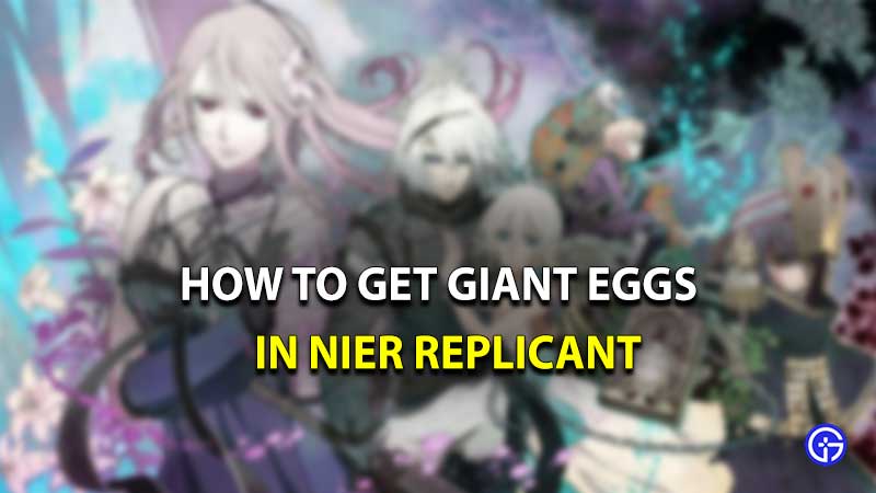 how to get giant eggs in nier replicant