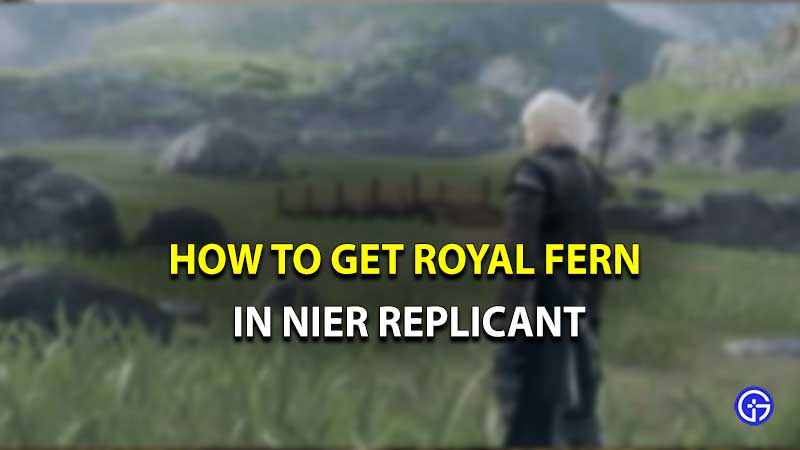 Nier Replicant Royal Fern