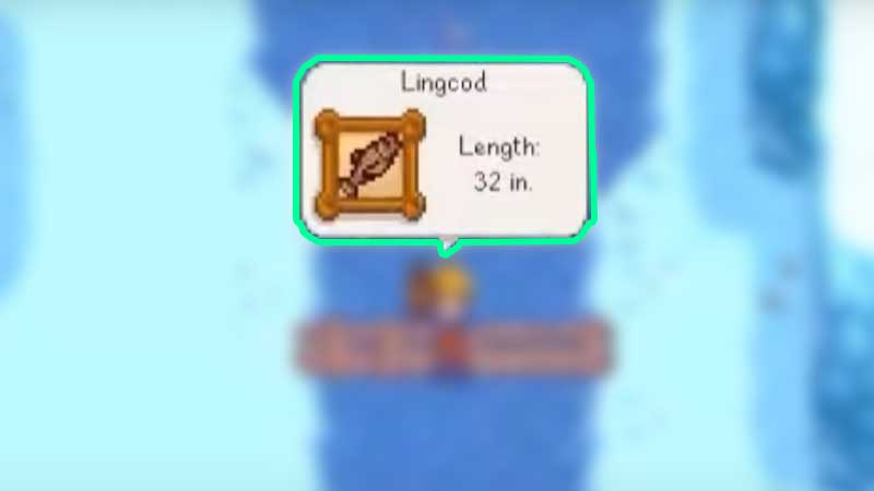Stardew Valley: How To Catch Lingcod