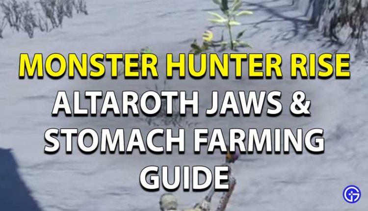 Video Game Strategy Guides Tips Tricks 2023 Gamer Tweak   Mhr Altaroth Jaw Stomach 750x430 