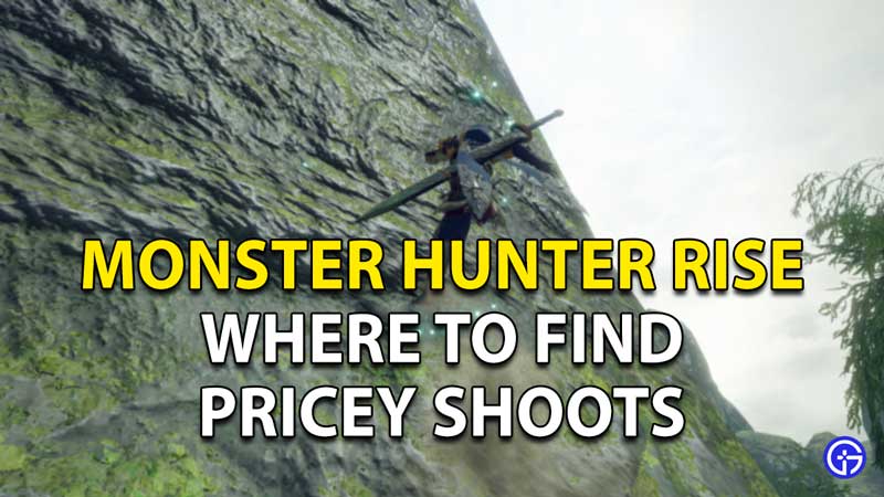 Monster Hunter Rise Pricey Shoots