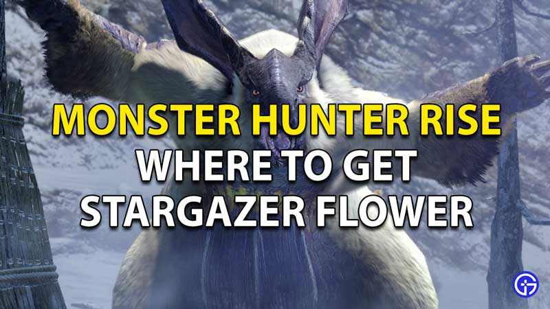 Monster Hunter Rise Stargazer Flowers