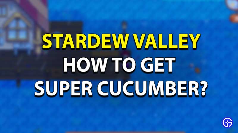 Super Cucumber Stardrew Valley