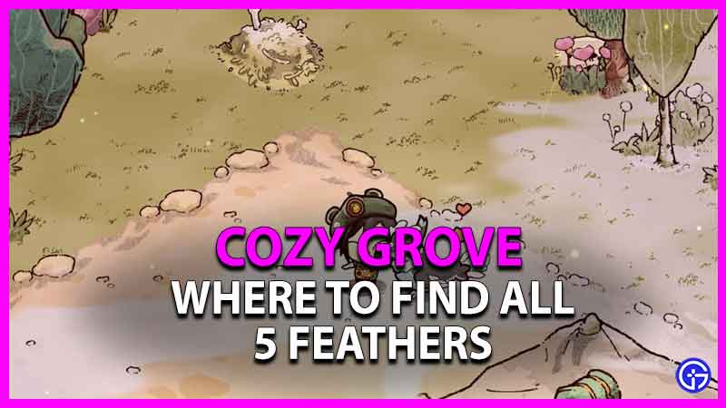 where to find all feathers in cozy grove
