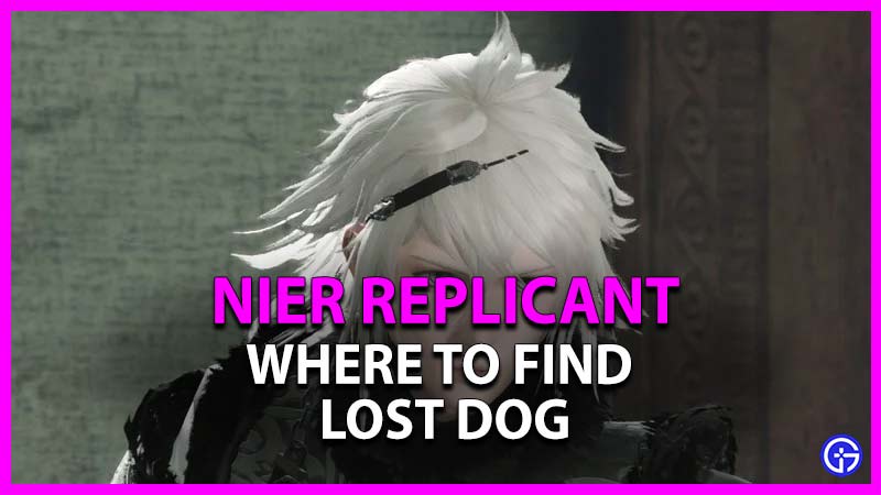 where to find lost dog in nier replicant