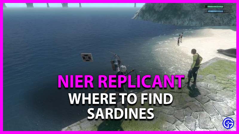 where to find sardines in nier replicant