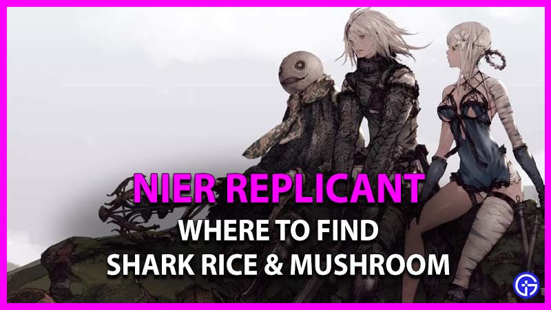 How To Get Shark, Rice, And Mushroom For Bon Appetit In Nier Replicant
