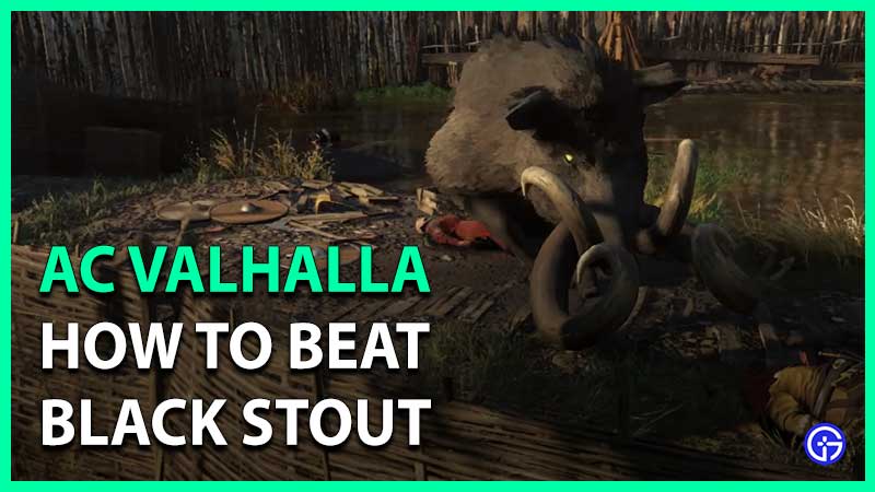 black stout legendary animal ac valhalla