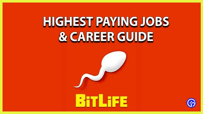 highest paying jobs and careers bitlife