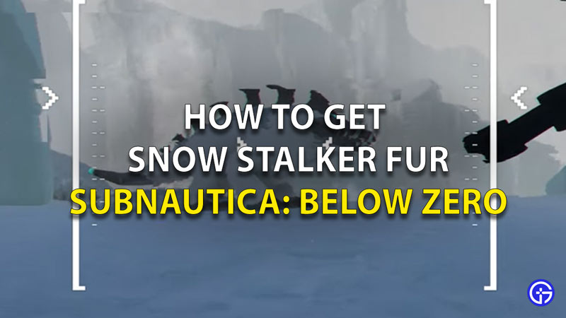 How To Get Snow Stalker Fur Sbnautica Below Zero