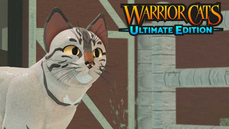 Codes, Warrior Cats: Ultimate Edition (WCUE) Wiki