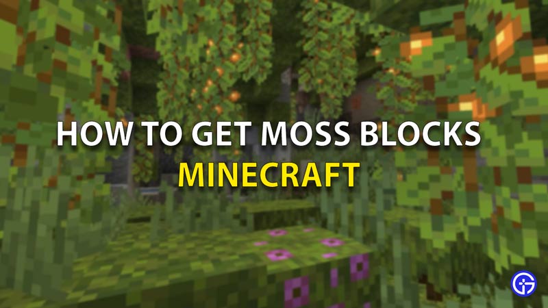 How To Get Moss Blocks In Minecraft? | Gamer Tweak