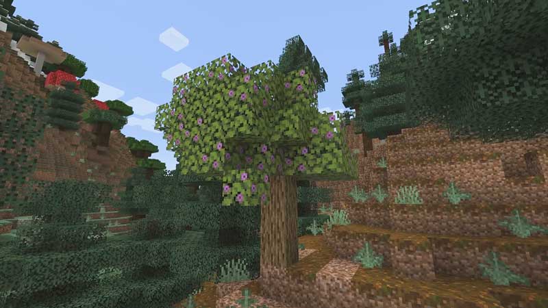 azalea trees