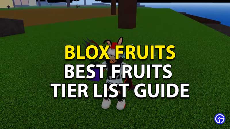 Blox Fruits Best Fruits List List List