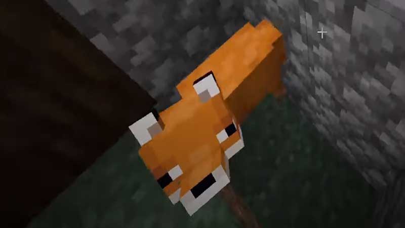 fox minecraft tameable animal