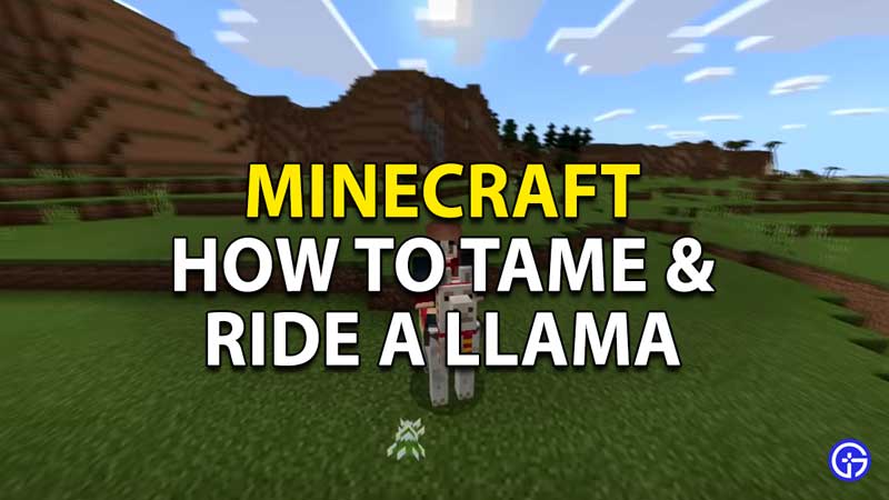 how to tame and ride a llama in minecraft