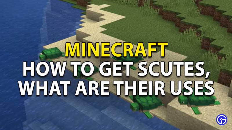 minecraft how to get scutes what are their uses
