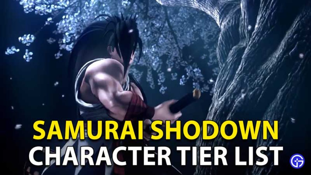 Samurai shodown ii blood code coppilot