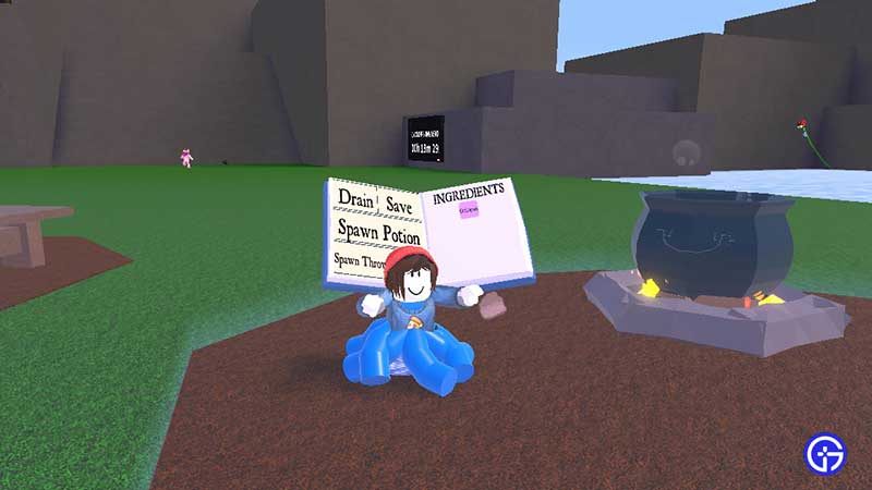 how to fly in roblox wacky wizards.