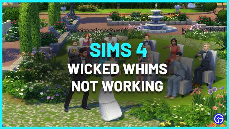 the sims 4 wicked whim animations