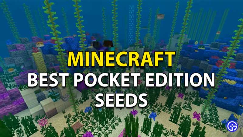 Best Minecraft Pocket Edition Seeds