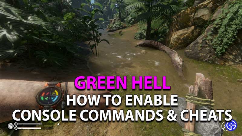 how to enable console commands cheats in green hell