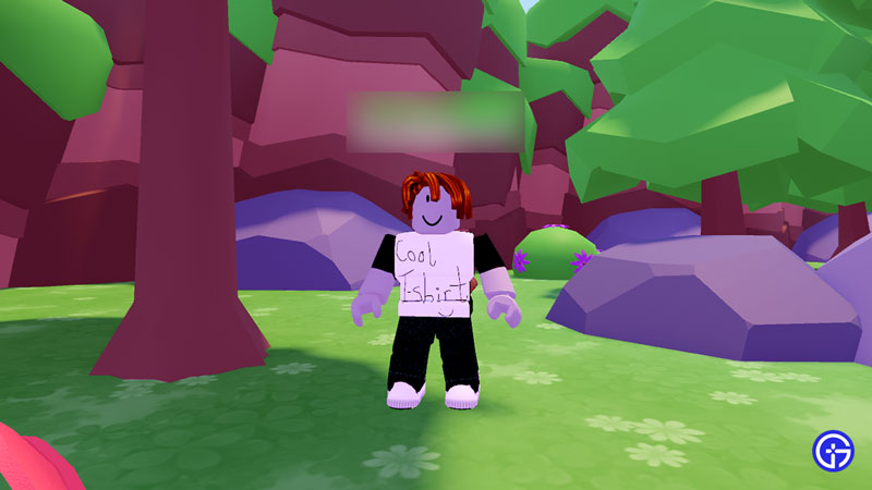 how to make and use custom tshirt in roblox