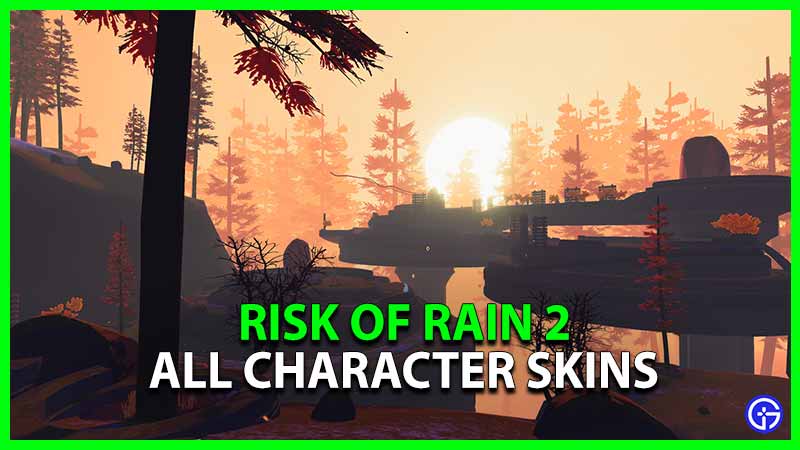 Risk of Rain 2 Skins All Character Unlock
