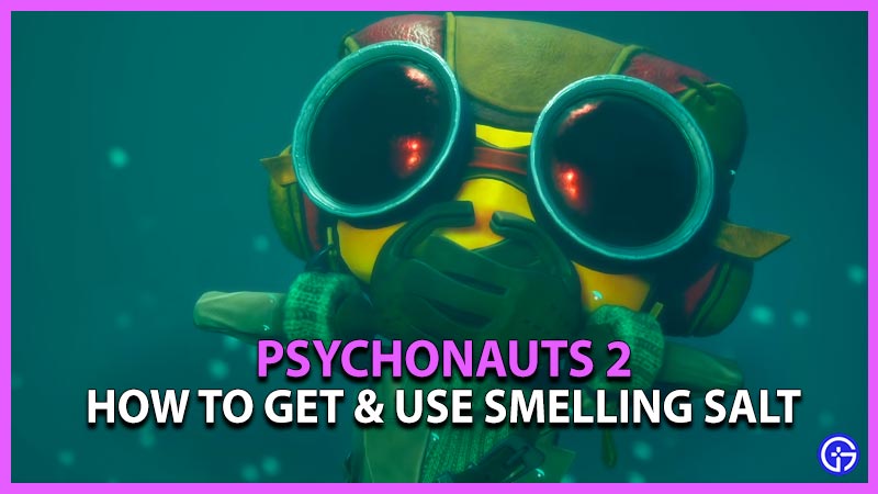 Use Smelling Salt Psychonauts 2