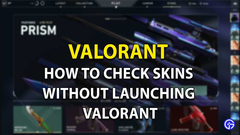 how to check skins without launching valorant