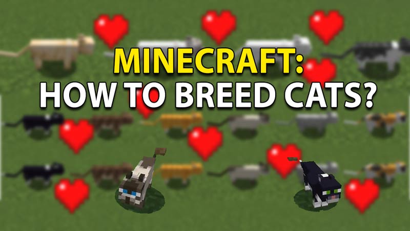 minecraft breed cats