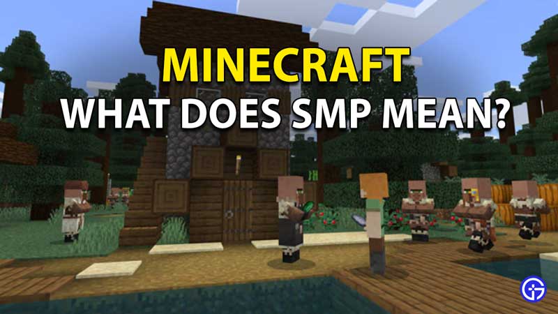 What Does SMP Mean In Minecraft