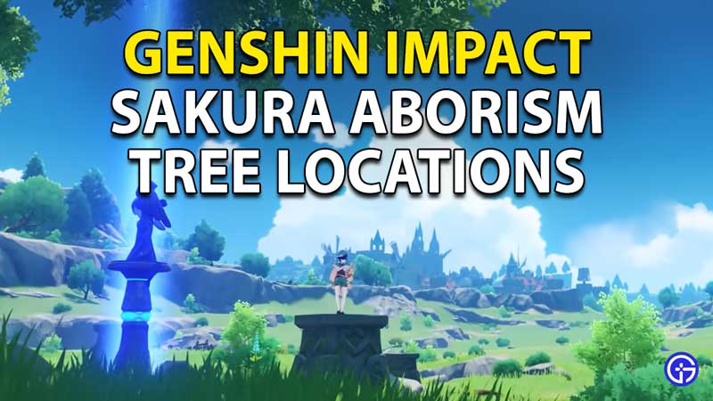 Sakura Aborism Genshin Impact: All Tree Locations