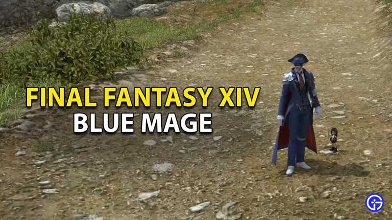 final fantasy xiv blue mage