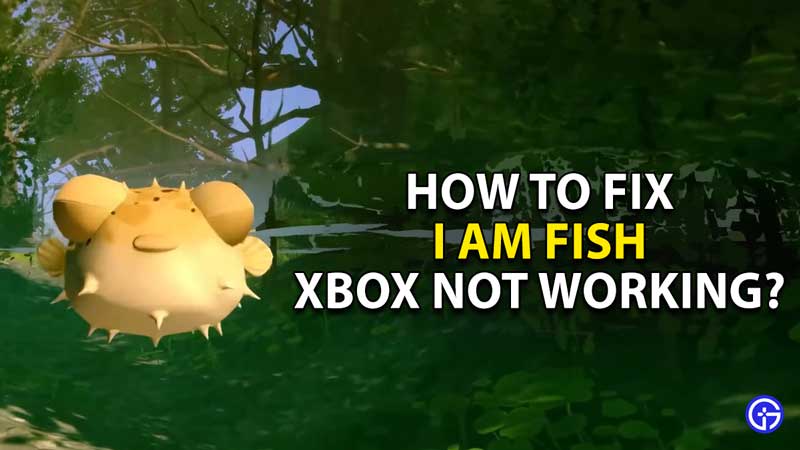 how to fix xbox not working i am fish 1