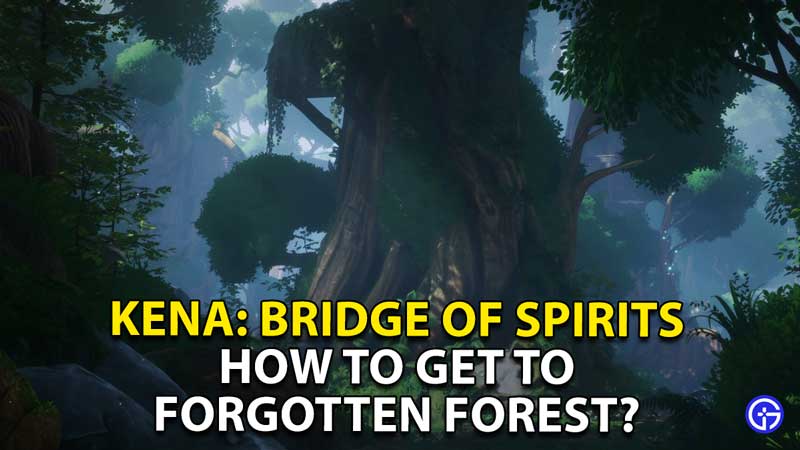 how to get to forgotten forest kena bridge of spirits
