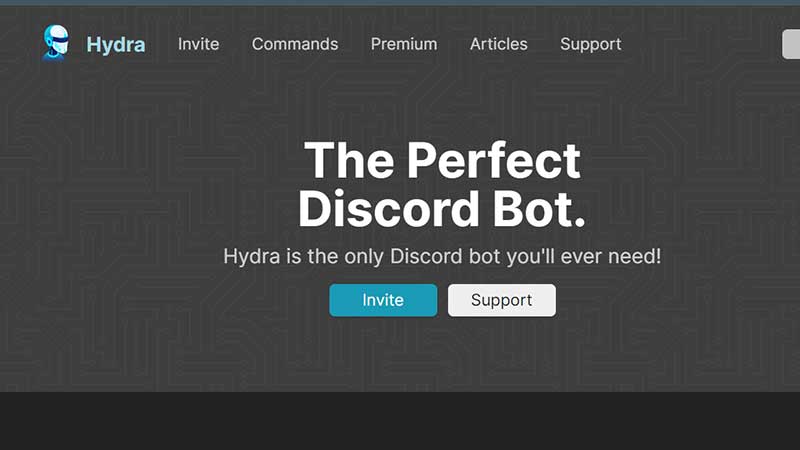 hydra music bot