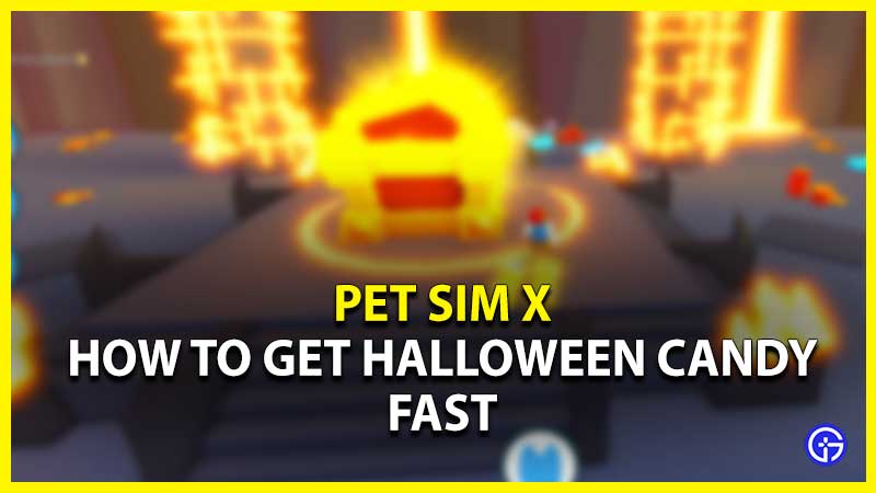 How To Get Halloween Candy In Pet Sim X FAST