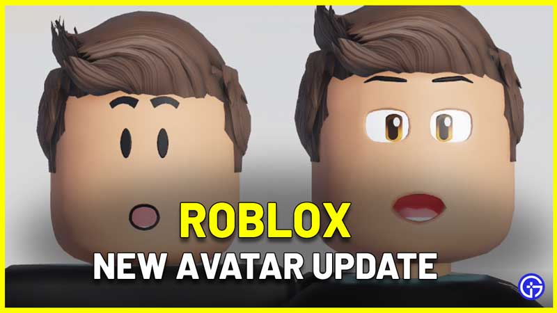Ability to remove face from avatar entirely  Website Features  Developer  Forum  Roblox